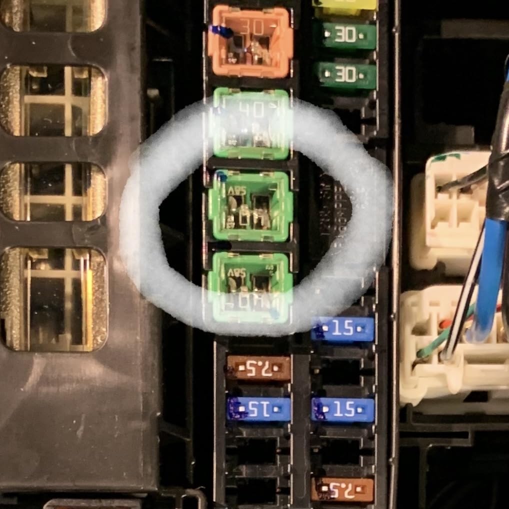 フーラン 0298125.