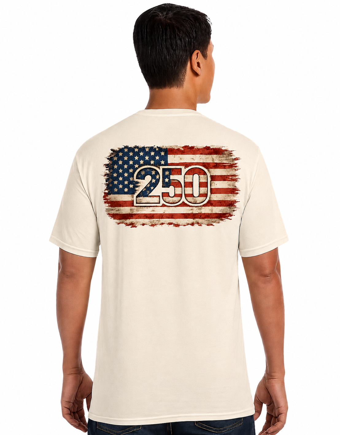 250th July 4th Celebration T-Shirt