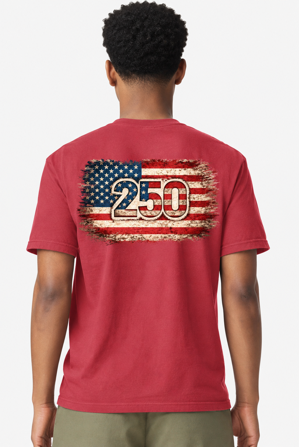 250th July 4th Celebration T-Shirt