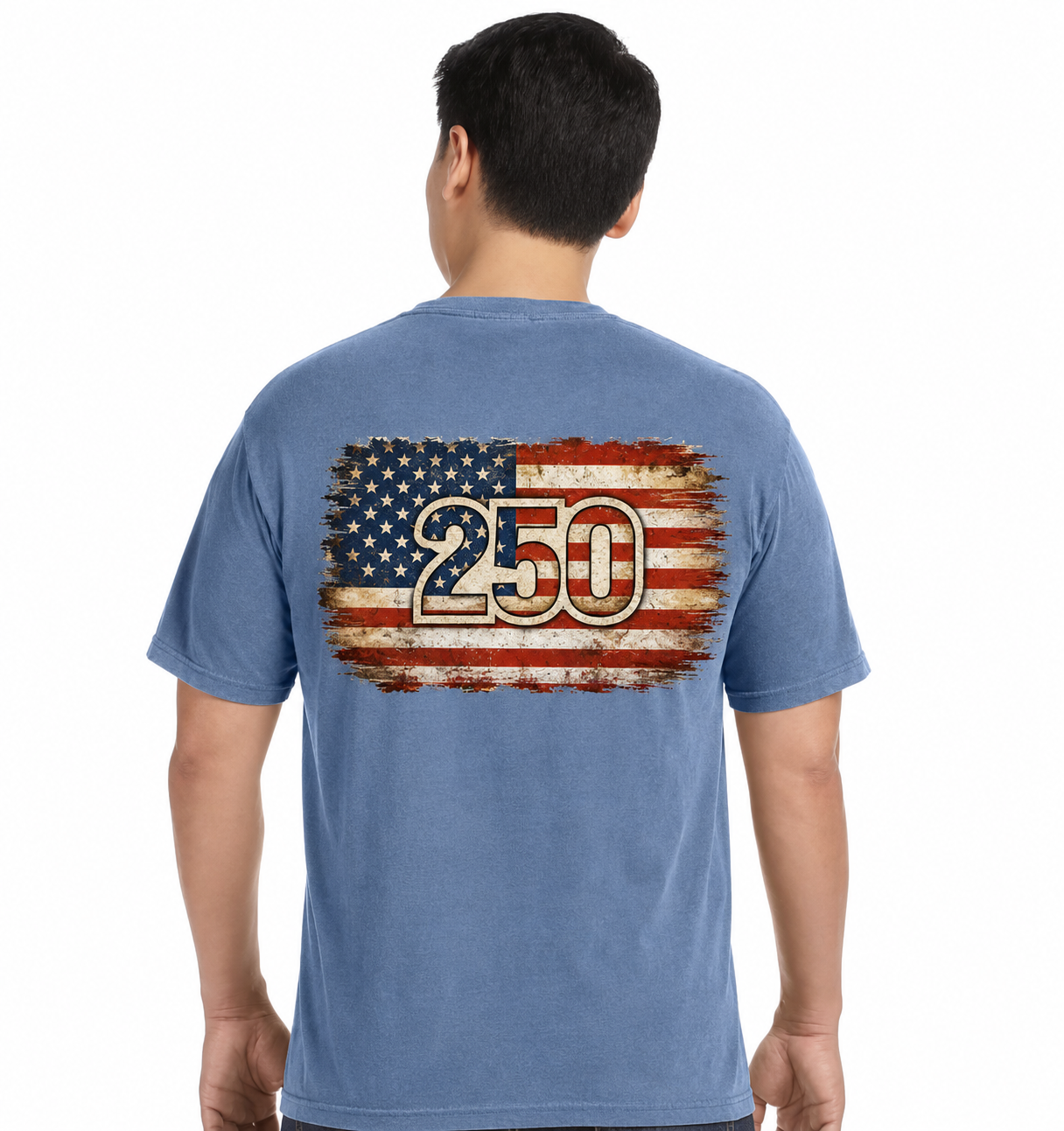 250th July 4th Celebration T-Shirt