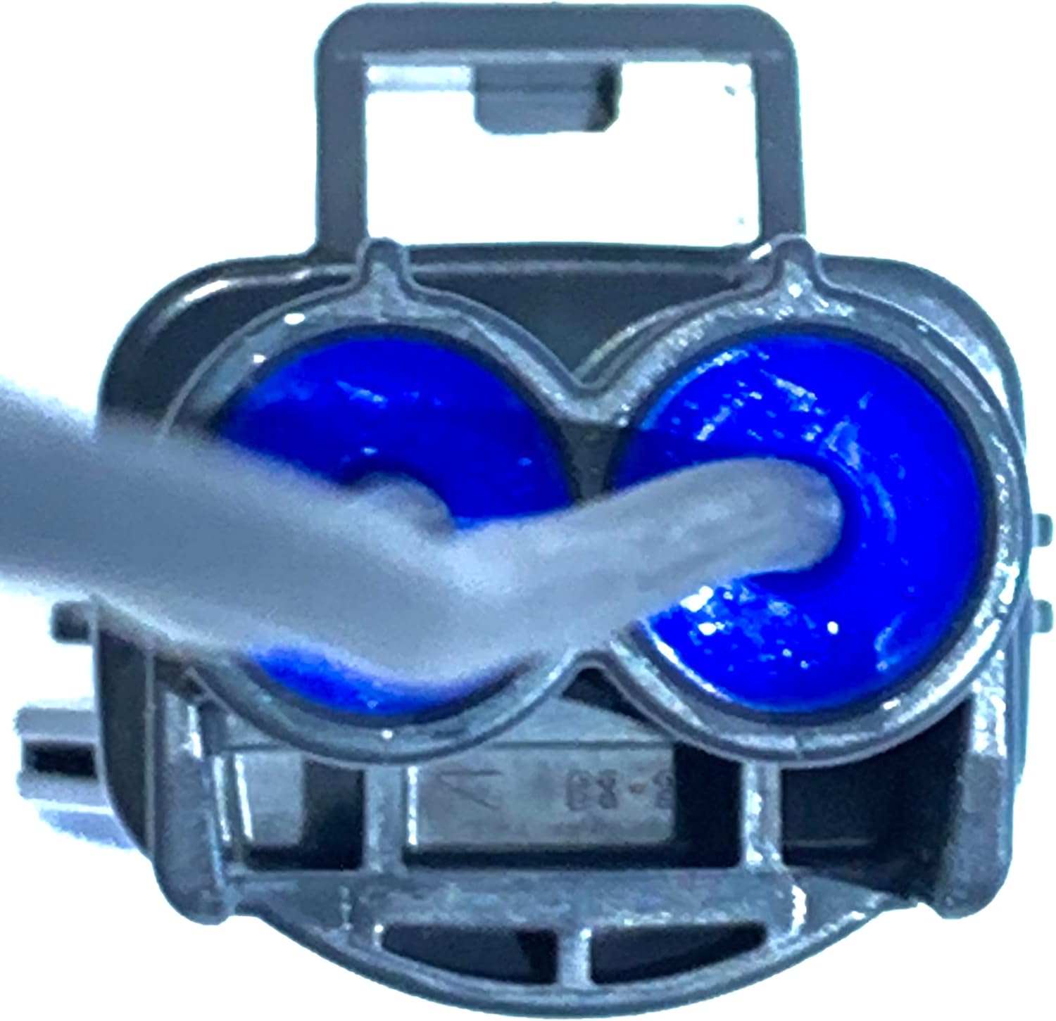 wpt-916-pigtail-connector