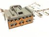 EDS Connector Kit WPT396 WPT-396 / Ford 3U2Z-14S411-BKA 3U2Z14S411BKA Connector Kit WPT-396 3U2Z-14S411-BKA 3U2Z14S411BKA Connector Kit 
