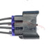 EDS Pigtail Harness 2 Pack!! 90980-11885 9098011885 Pigtail Harnesses - Ignition Coil Plug Connector F for Camry Corolla Highlander TC XB Vibe Prizm etc 2 Pack!! 90980-11885 Pigtail Harnesses - Ignition Coil Plug 