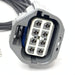 EDS Pigtail Harness WPT-1332 / DU2Z-14S411-CA Pigtail Harness WPT-1332 / DU2Z-14S411-CA Pigtail Harness