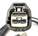 EDS Pigtail Harness WPT-1343 / DU2Z-14S411-ABA / PT2271 / 19153180 Pigtail Harness WPT-1343 / PT2271 / 19153180 Pigtail Harness