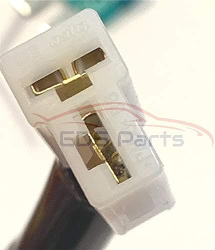 SPAL Wire Harness and Connectors 2 Pack!! - SPAL FRH Fan Relay Harness 2 Pack!! - SPAL FRH Fan Relay Harness